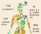 被全球专家看作“全能冠军”的营养素　中国人只吃够50%
