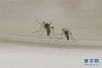 江苏发布全国首个“蚊子出没预报”：分为四个等级