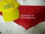 官方通报“小学红领巾印广告”事件：校长被党内严重警告