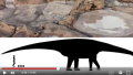 澳“侏罗纪公园”发现最大食肉恐龙脚印