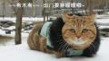 今天很冷?喊早了!下周整个杭州都要被速冻，最低温好吓人