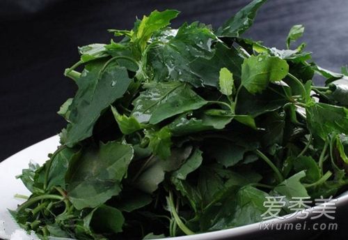 灰菜是什么菜可以吃吗 什么样的灰菜是有毒的