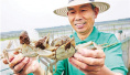 阳澄湖大闸蟹昨日开捕　直击一只螃蟹的横行营销（组图）