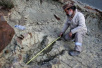 史前巨型肉食性恐龙大脚印现身　直径1.2米