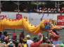 巴西累西腓狂欢节致敬中国鸡年（组图）
