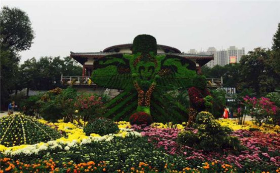十一长假期间 第十届王城金秋菊展将要免费开放