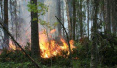 俄罗斯远东森林现50个着火点　半数火灾已被扑灭
