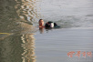 点赞！零下10℃10岁男孩坠河　消防官兵奋不顾身跳入水中救人