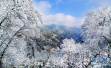 雪后初霁紫柏山　银色的童话世界