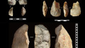 陕西蓝田发现约212万年前古人类活动遗址——上陈旧石器遗址