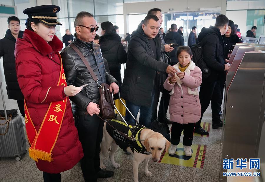 （社会）（6）导盲犬坐高铁：让视障旅客出行无障碍